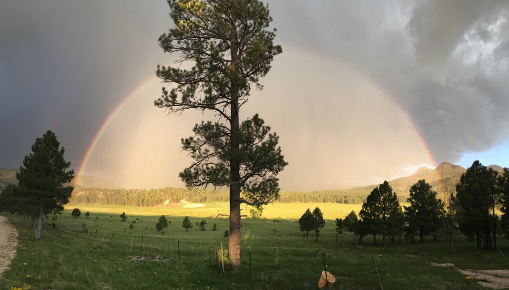 Nutrioso Rainbow